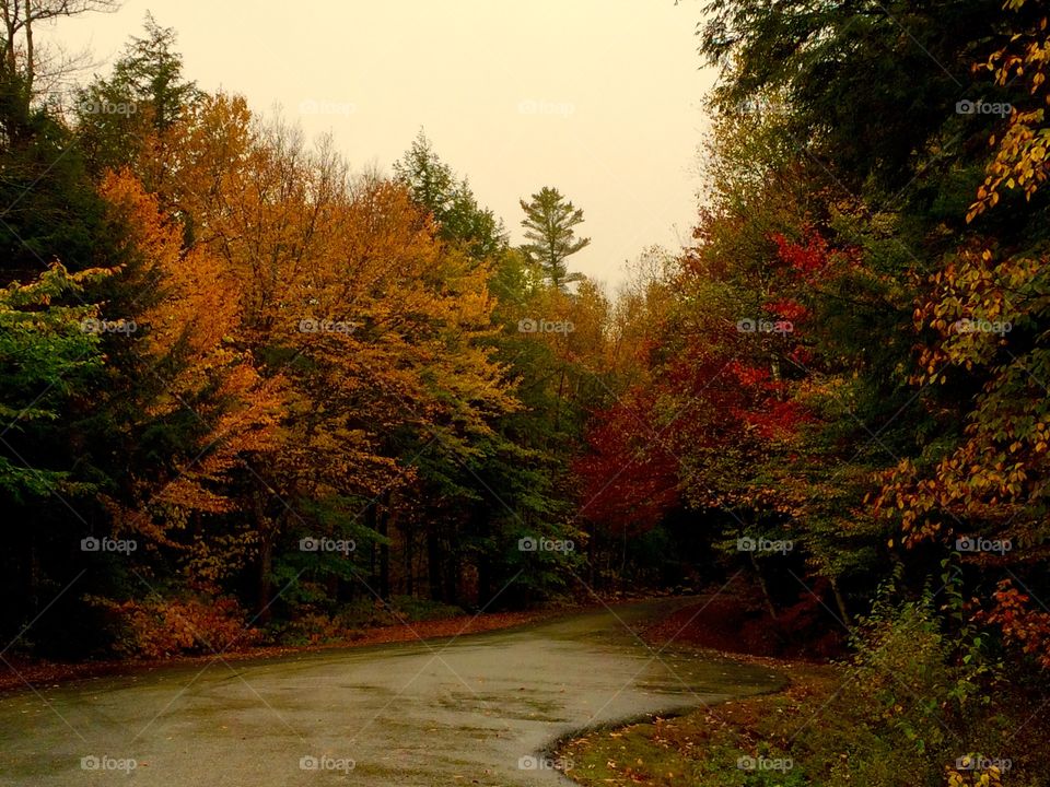 Grafton Notch State Park, ME