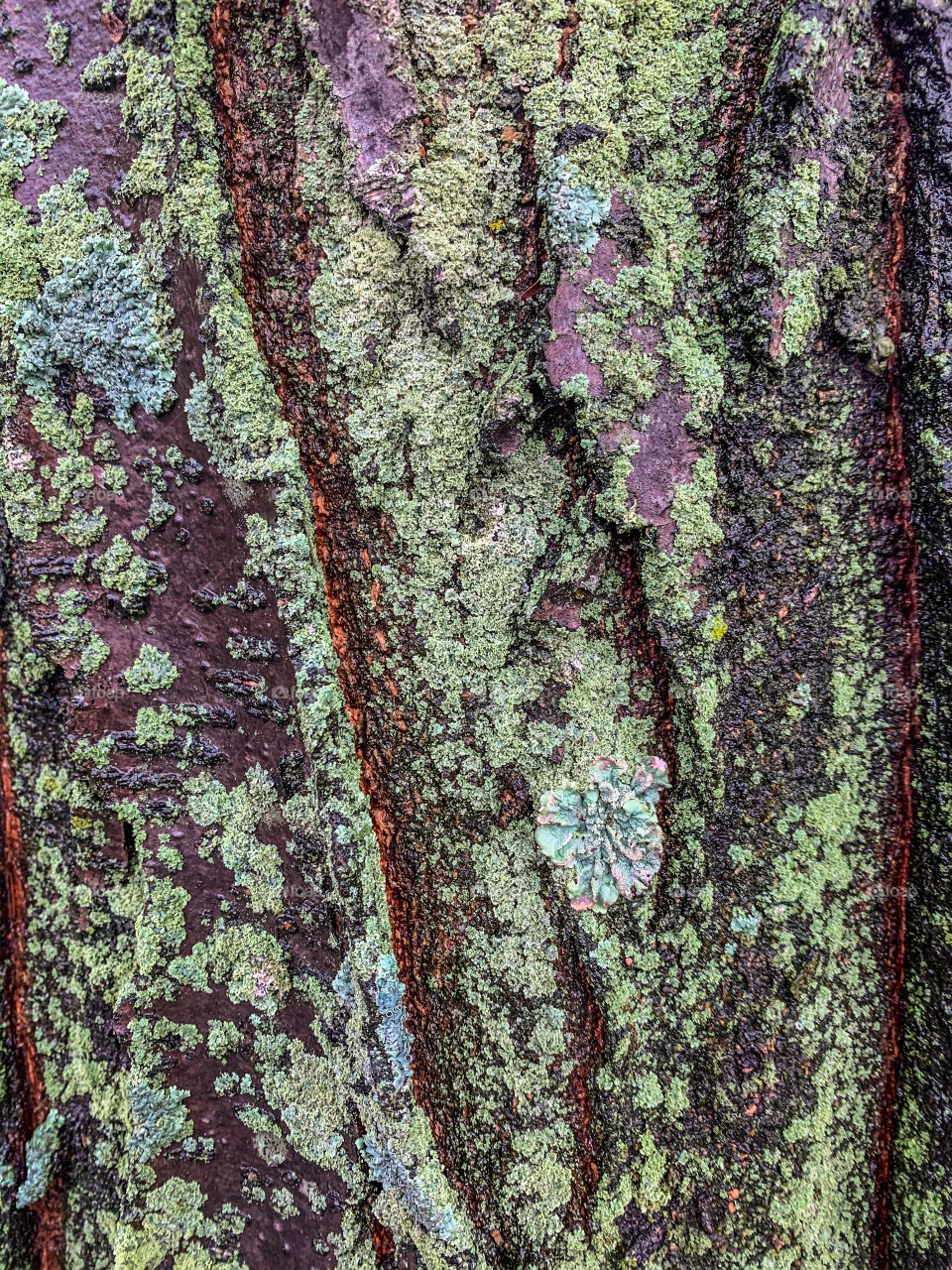 Texture, Desktop, Abstract, Pattern, Rough