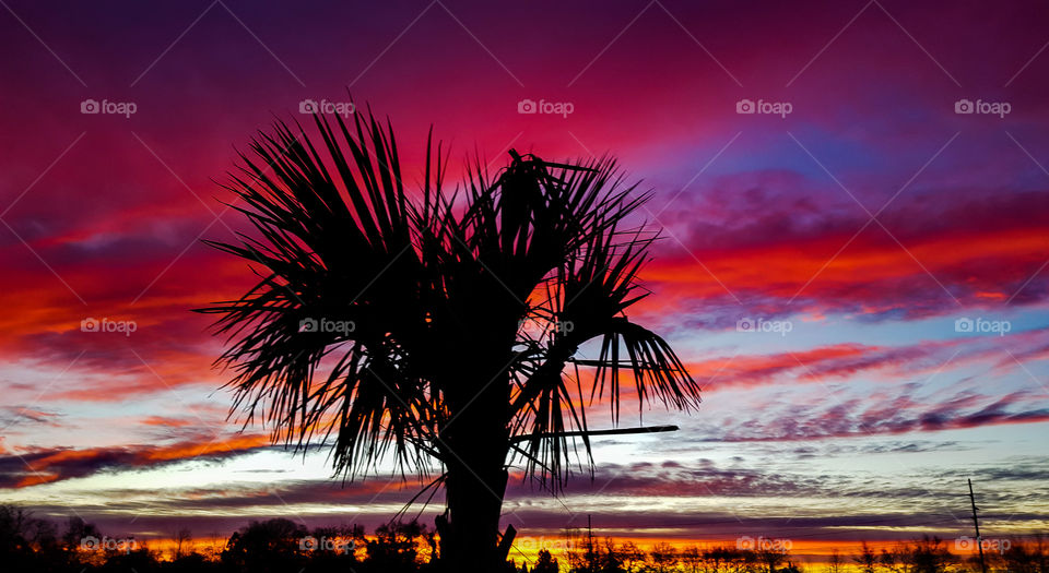 Sunset, Beach, Water, Dawn, Sun