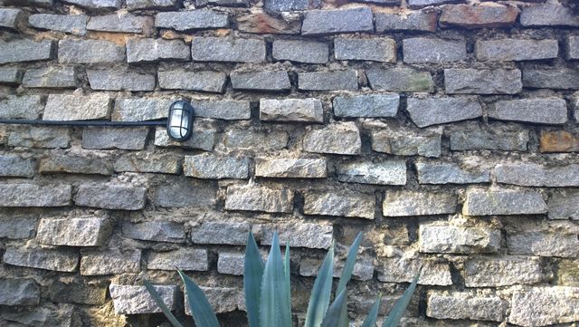 Muro