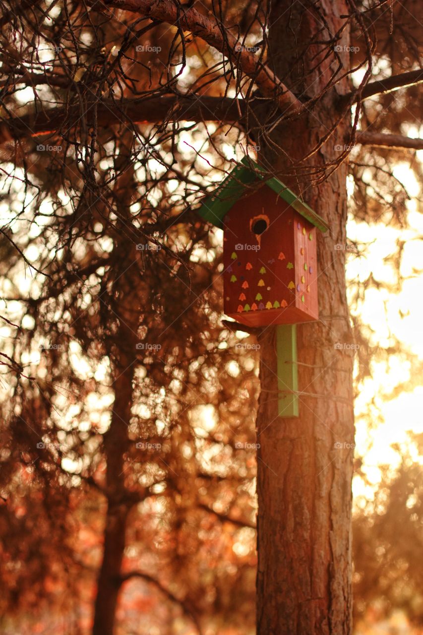 Birdhouse in the autumn park