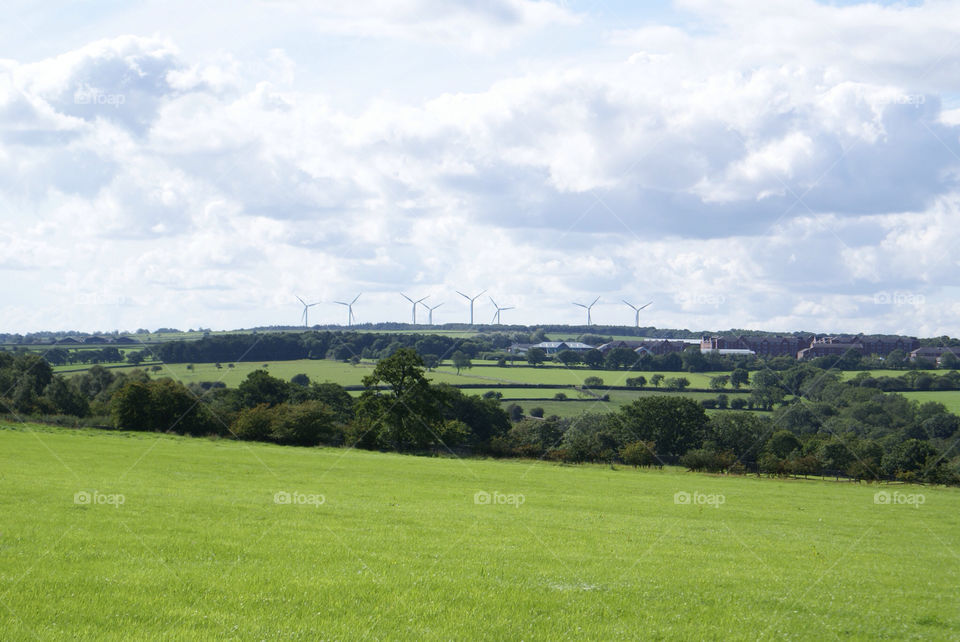 grass trees wind fields by craigcpaterson