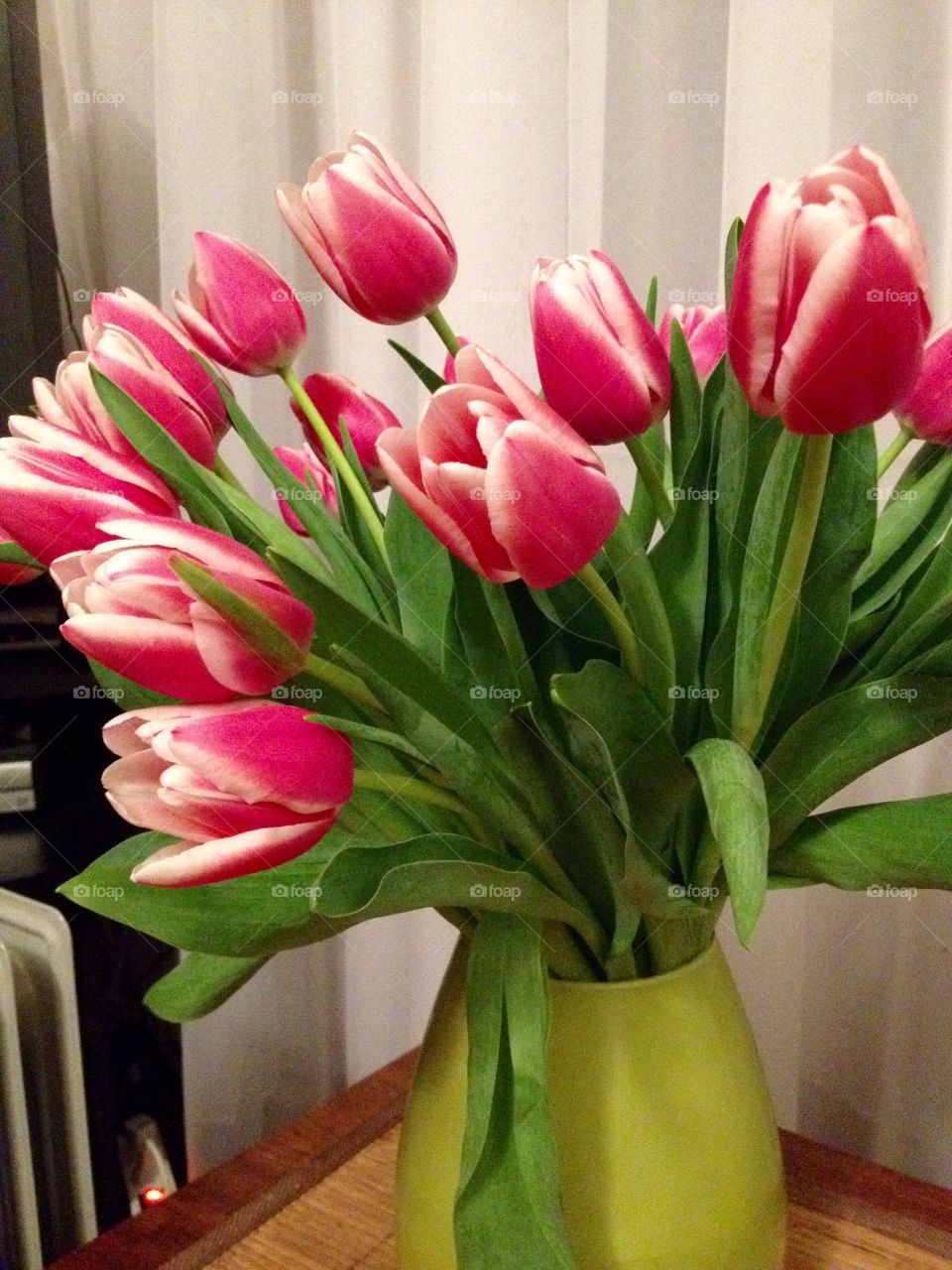 Tulips opening up indoors