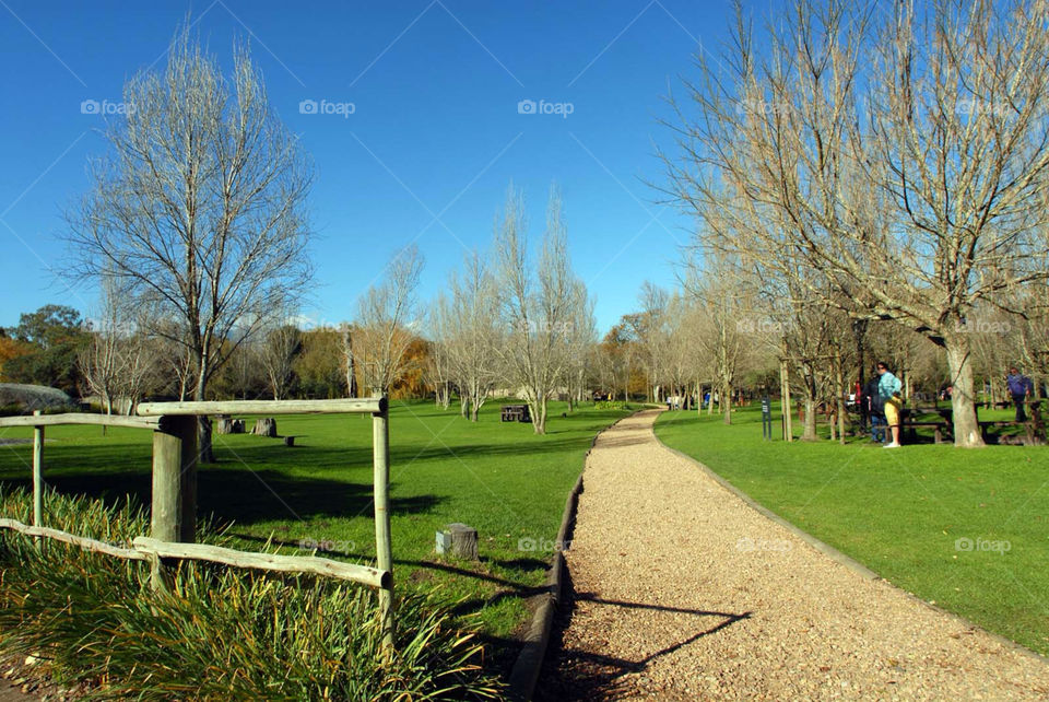 sky blue trees path by el62580000