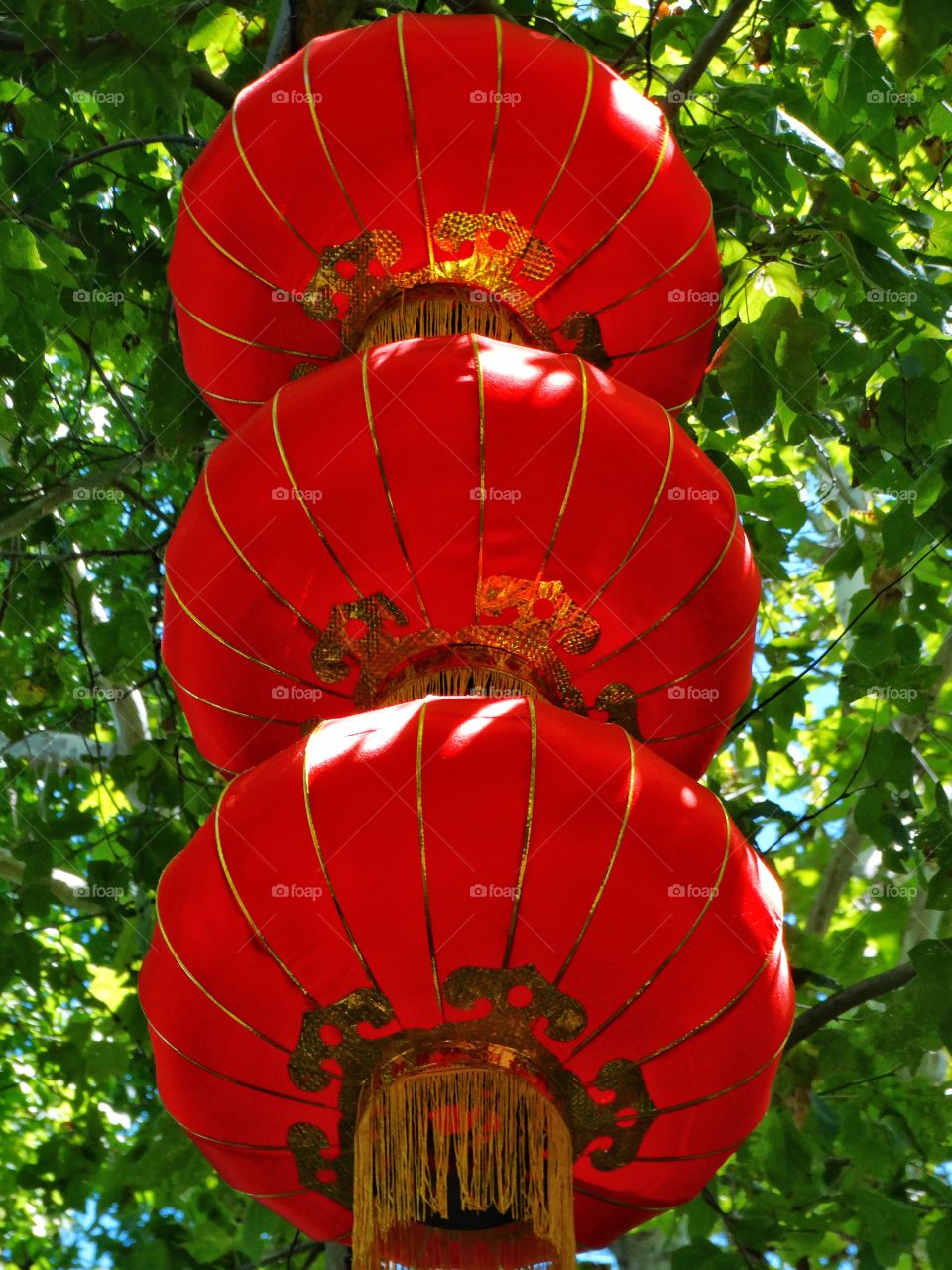 Red Chinese Lanterns
