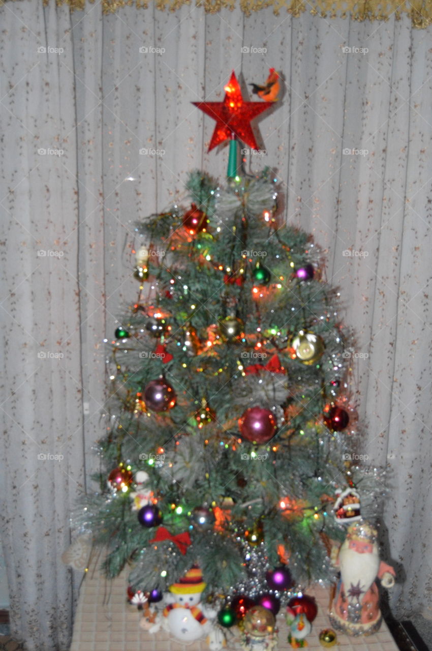 new year, Christmas, holiday, Christmas tree,