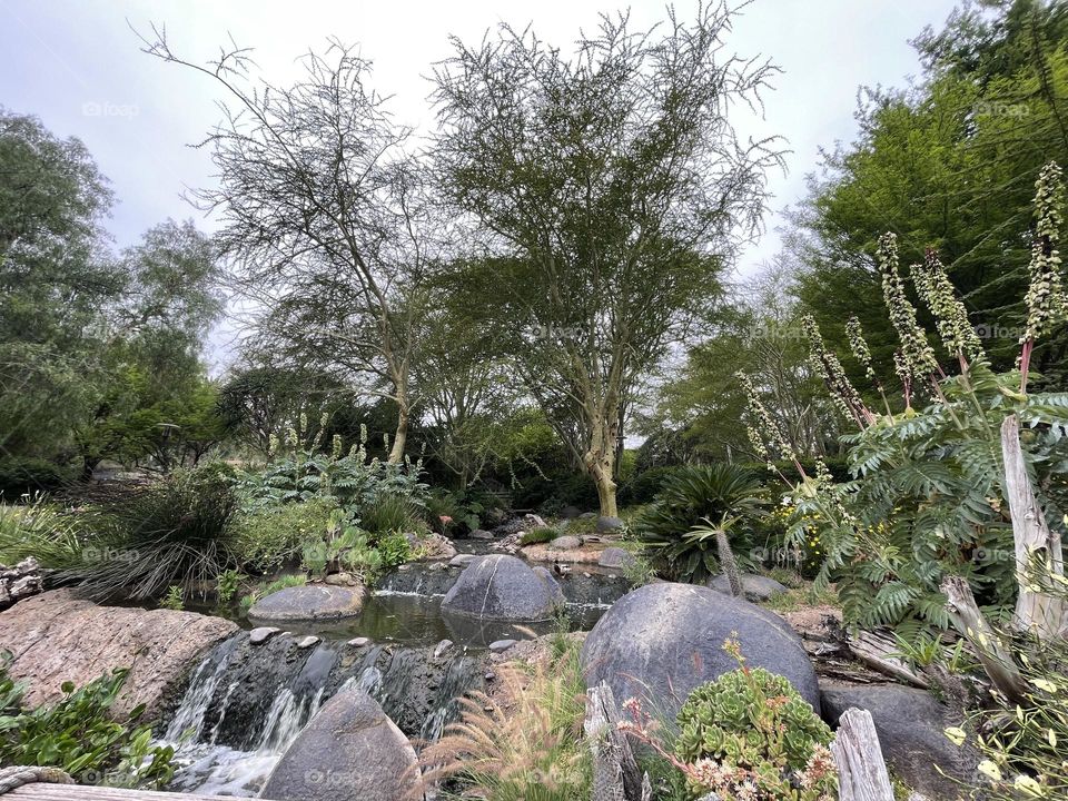 San Diego Zoo Safari Park. Escondido, California. 