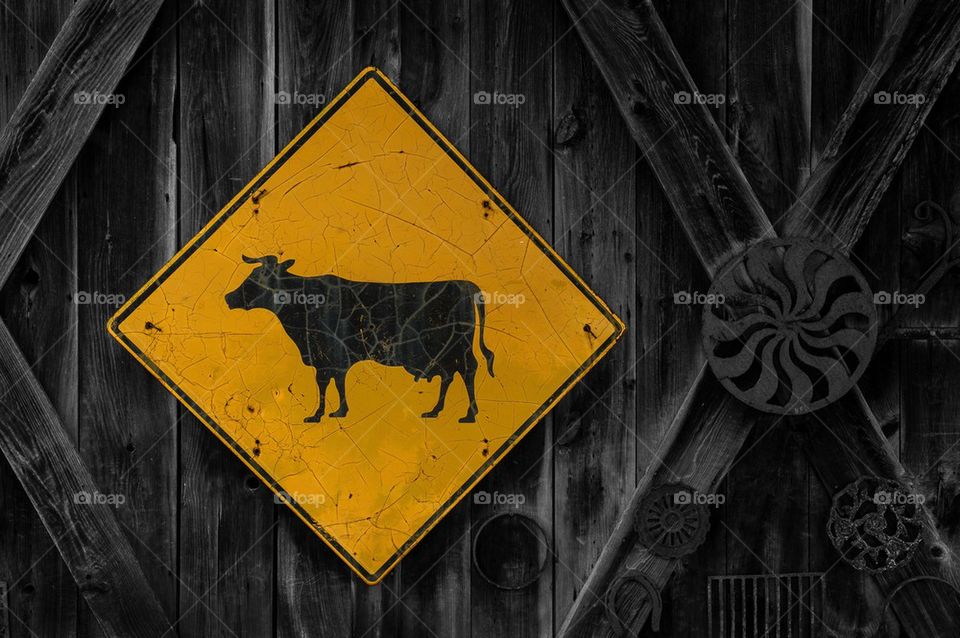 cow sign