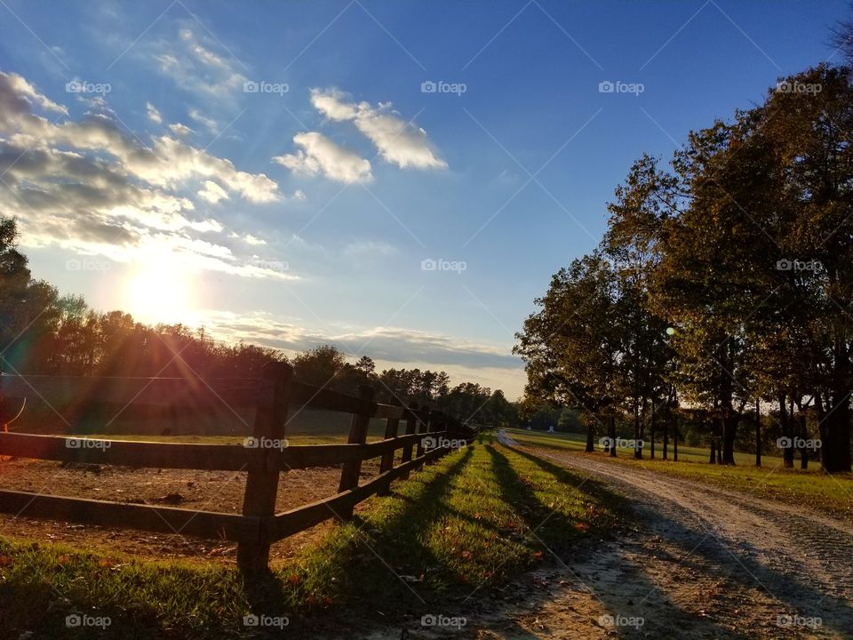 farm life