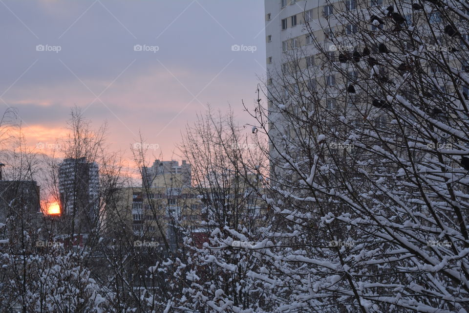 Winter, Snow, Tree, No Person, Building