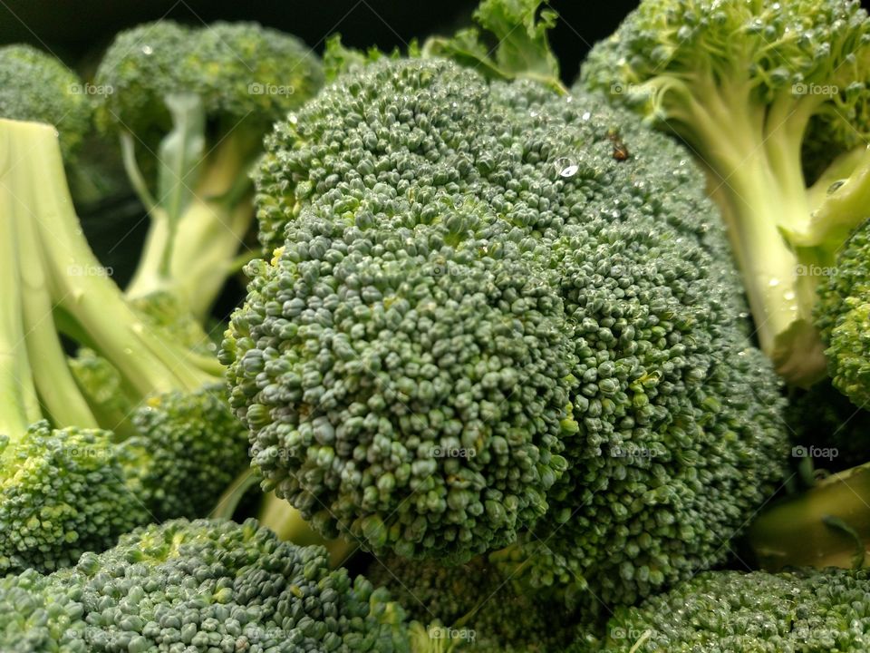 Close up of fresh broccoli.