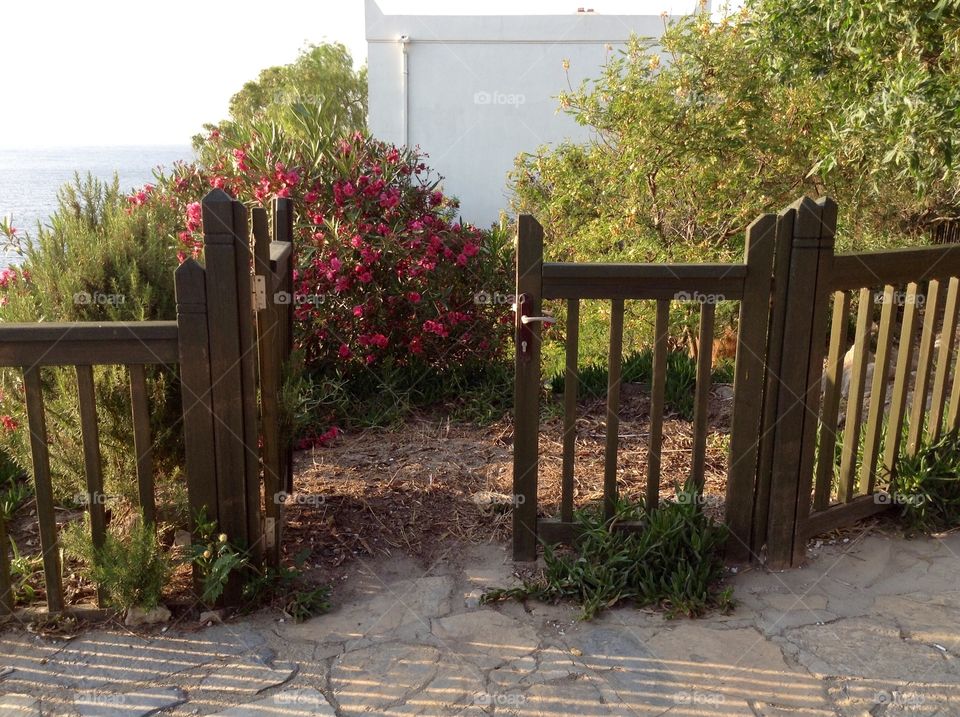 Wooden gate 