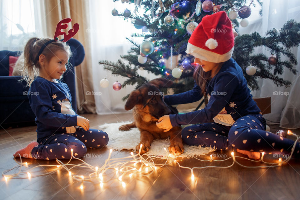 Little sisters with the puppy near Christmas tree