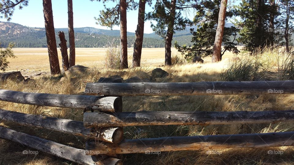 Fence. Wooden fence in Oregon