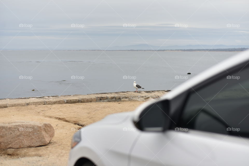 Car on beach