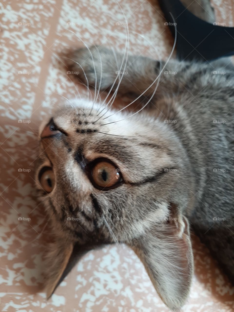 А   вверх  головой  слабо?