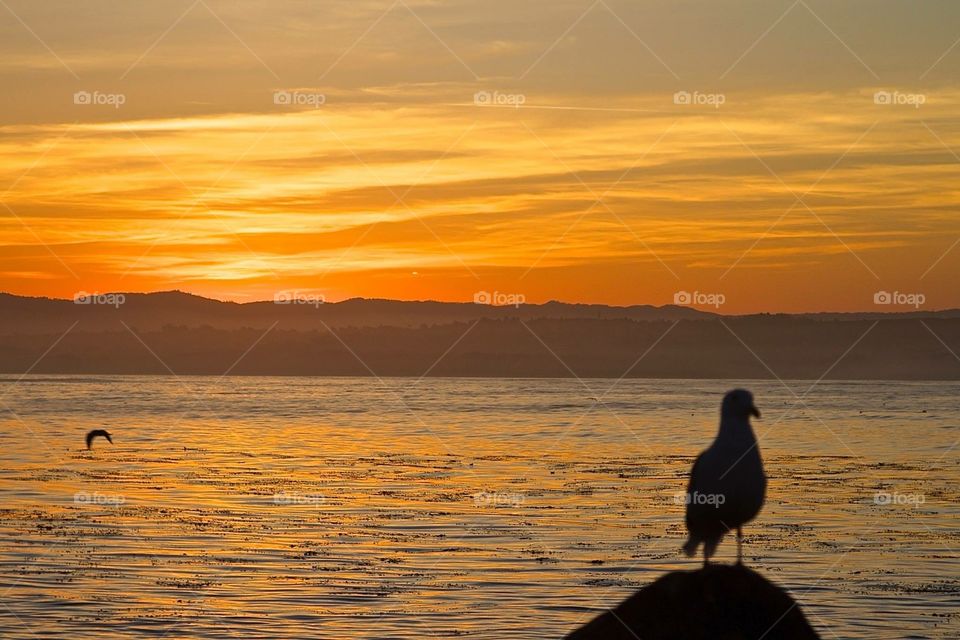 Sunrise at Lover's Point. Lovers point beach Pacific Grove California