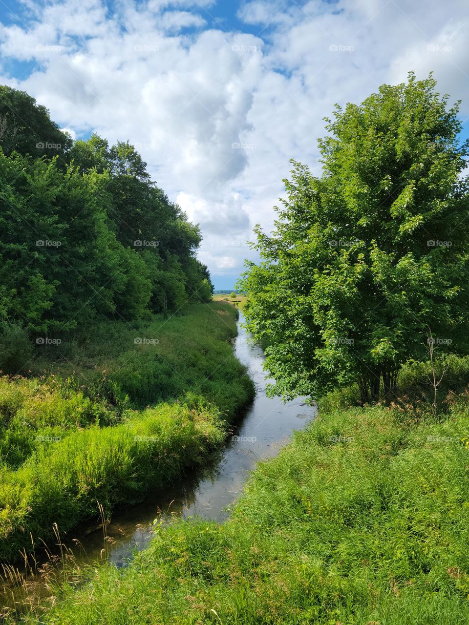 Just a Pretty Field Ditch