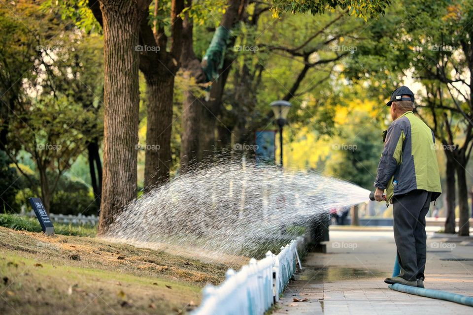 The gardener watering the plants and grass.