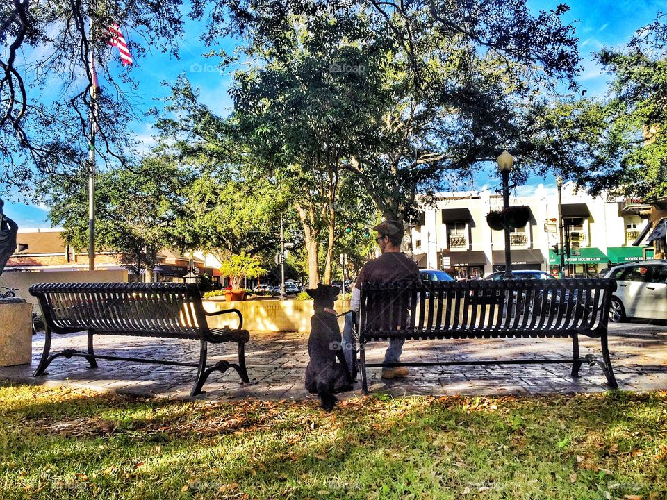 Man and dog. A man sitting on a bench with his service dog