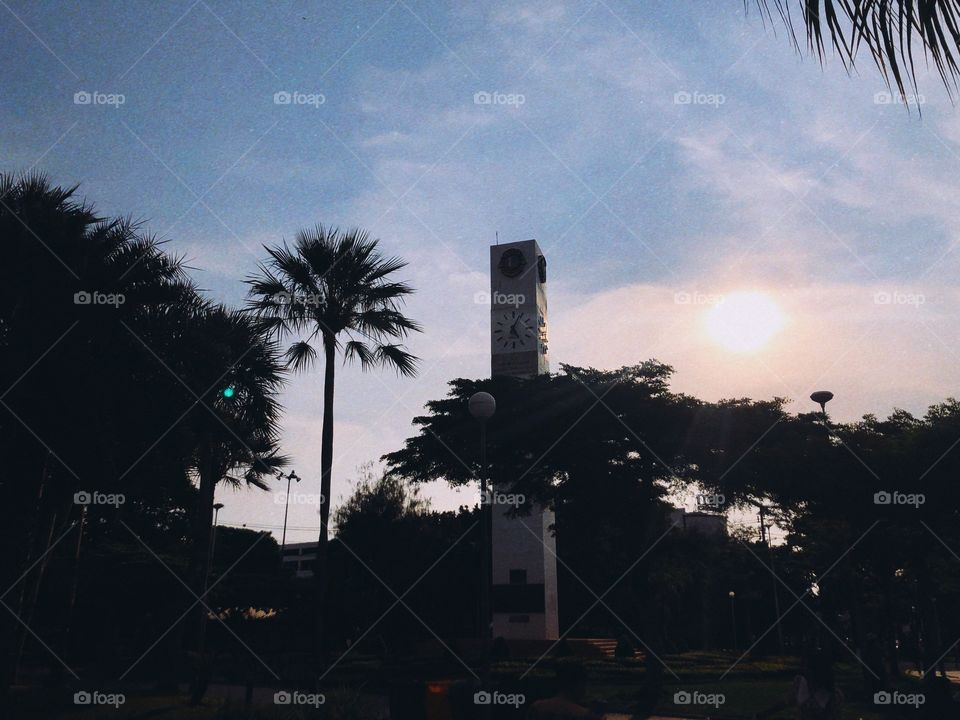 Long time no walk 2. 