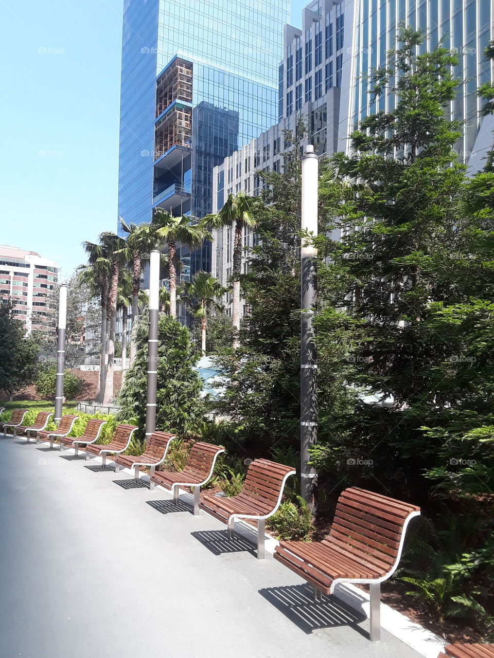 Salesforce Park San Francisco California