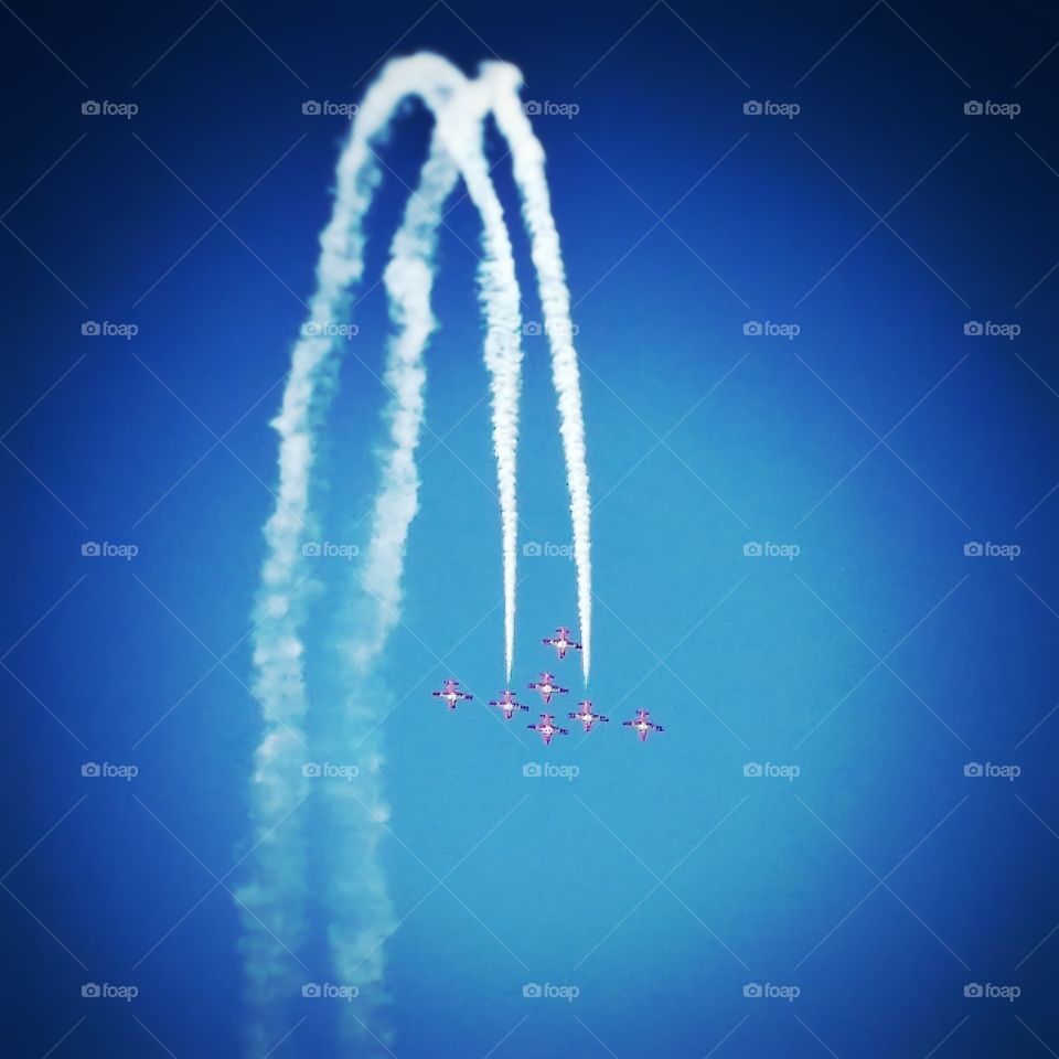 Snowbirds of Canada 03