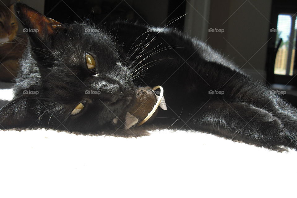 just try to take my mouse