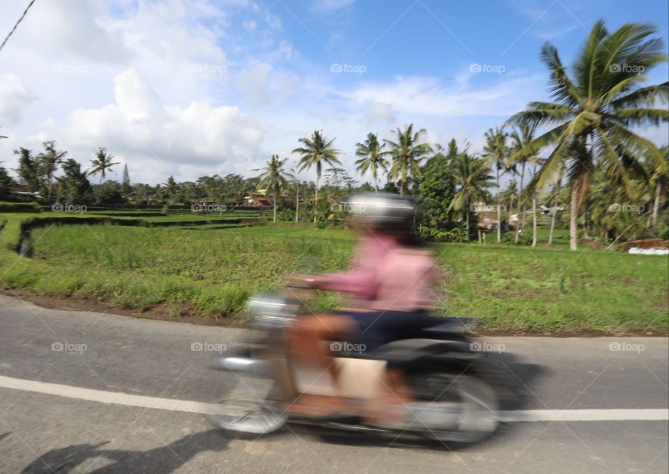 A moped speeds past rice fields in Bali, Indonesia