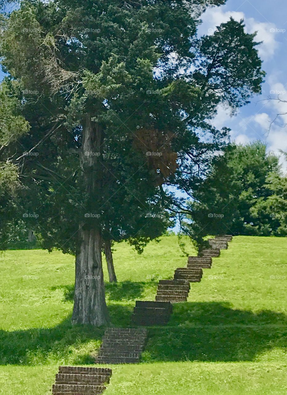 Brick stairs on grass