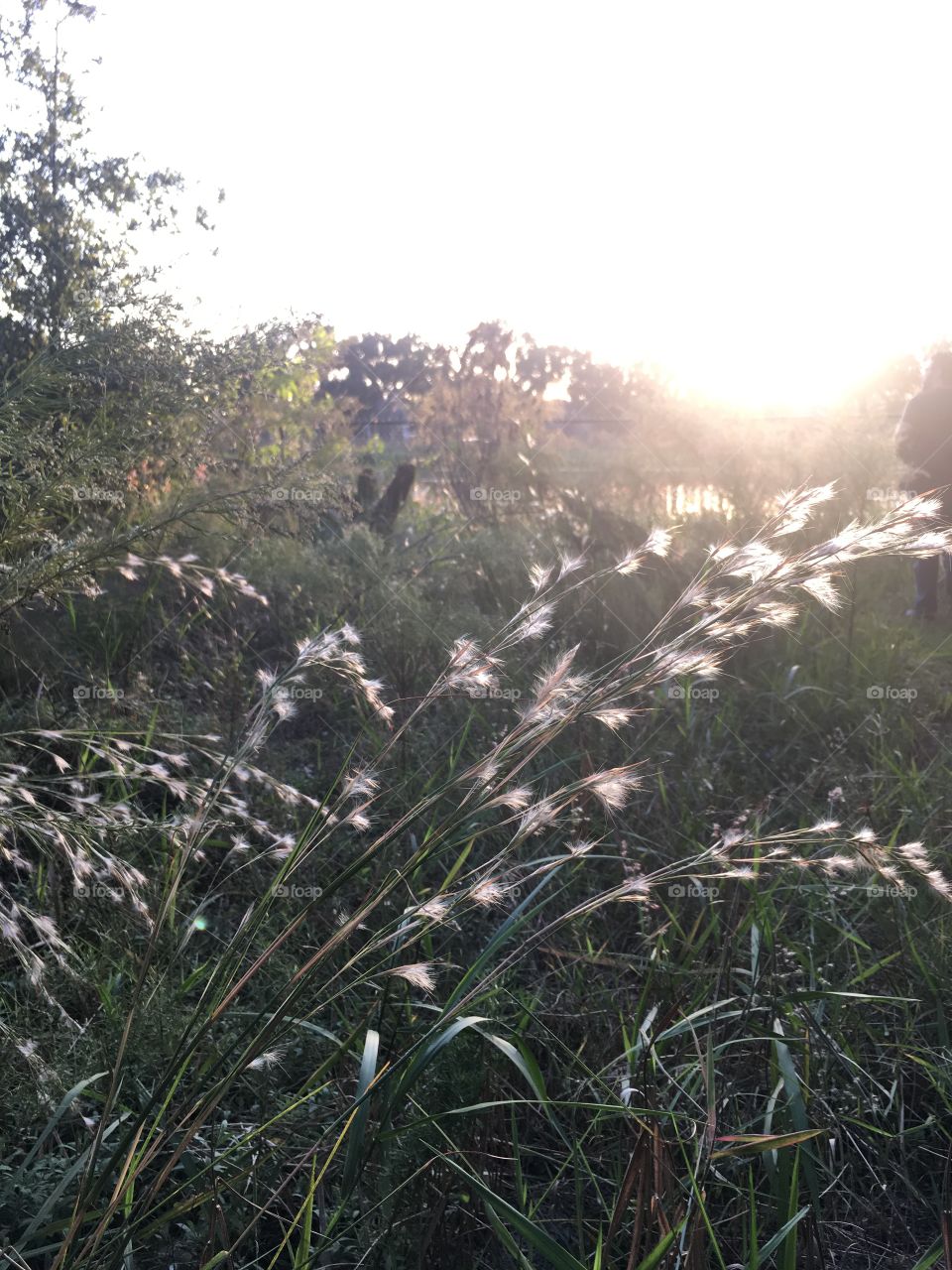 Gorgeous view while hiking 