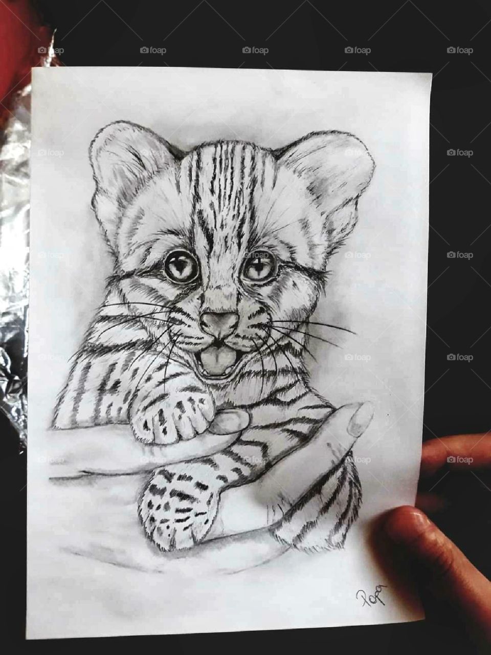 Baby tiger drawing