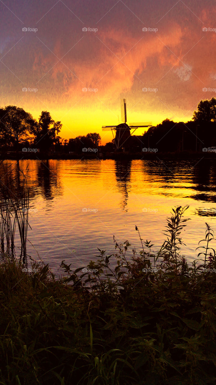 Sunset in Amstelpark 