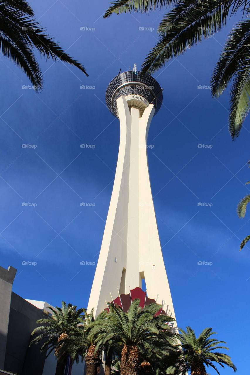 No Person, Travel, Architecture, Palm, Sky