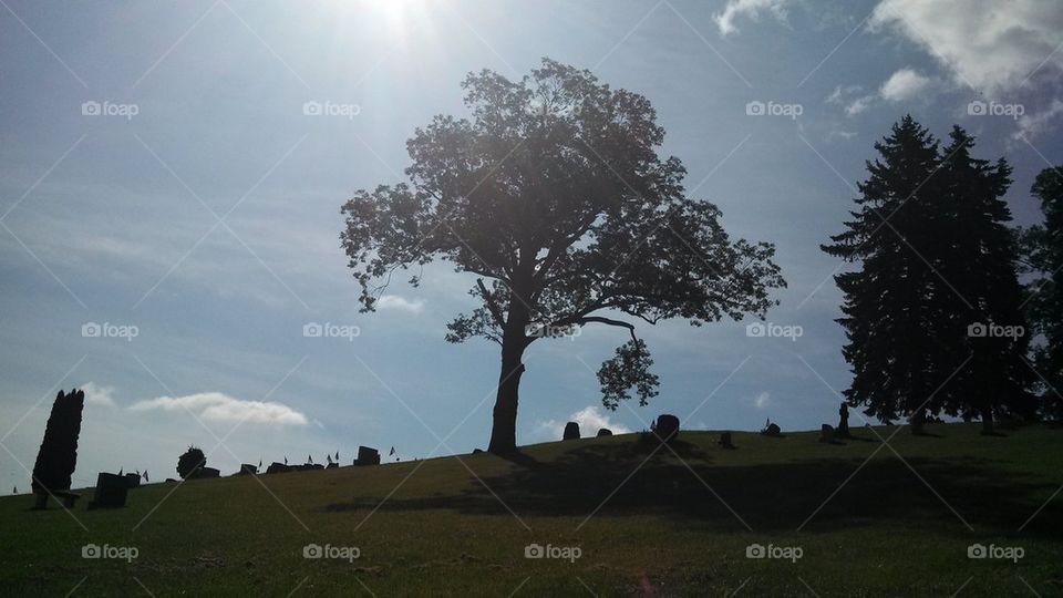 watching over in honor