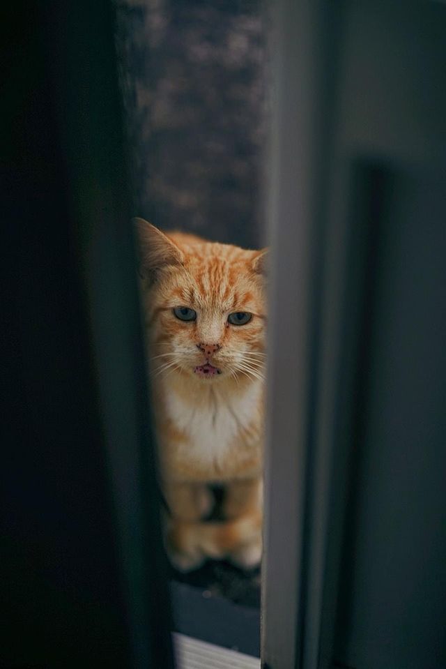 Peeking