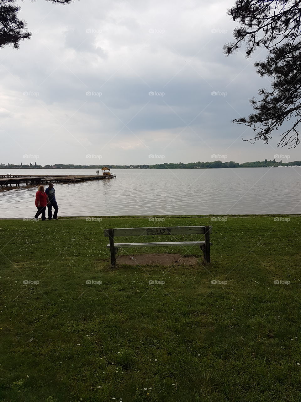 bench besides lake