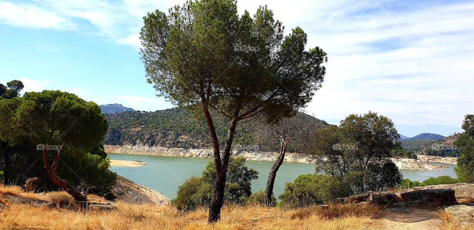 landscape in Spain pinto, lake trees