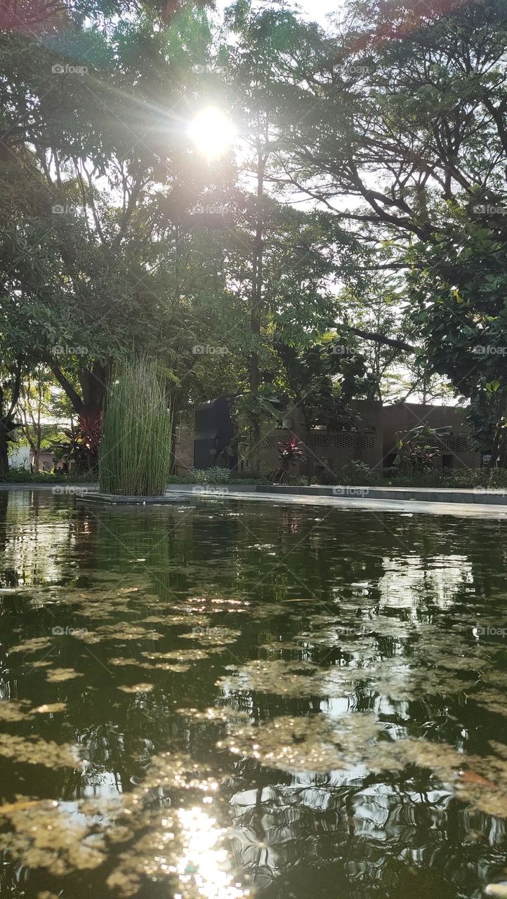 kolam taman Sekartaji