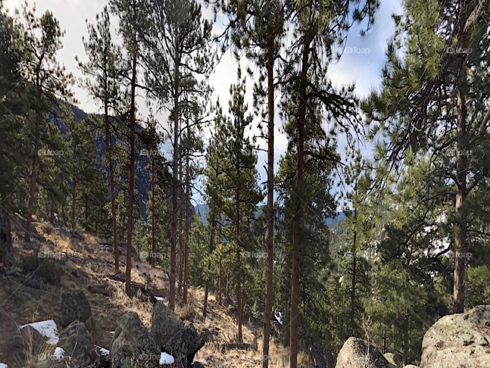 Beautiful USA🇺🇸