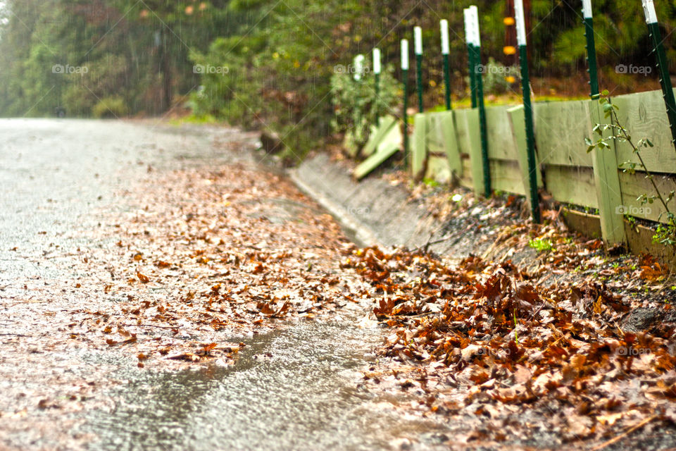 fall leaves in gutter during rain storm
