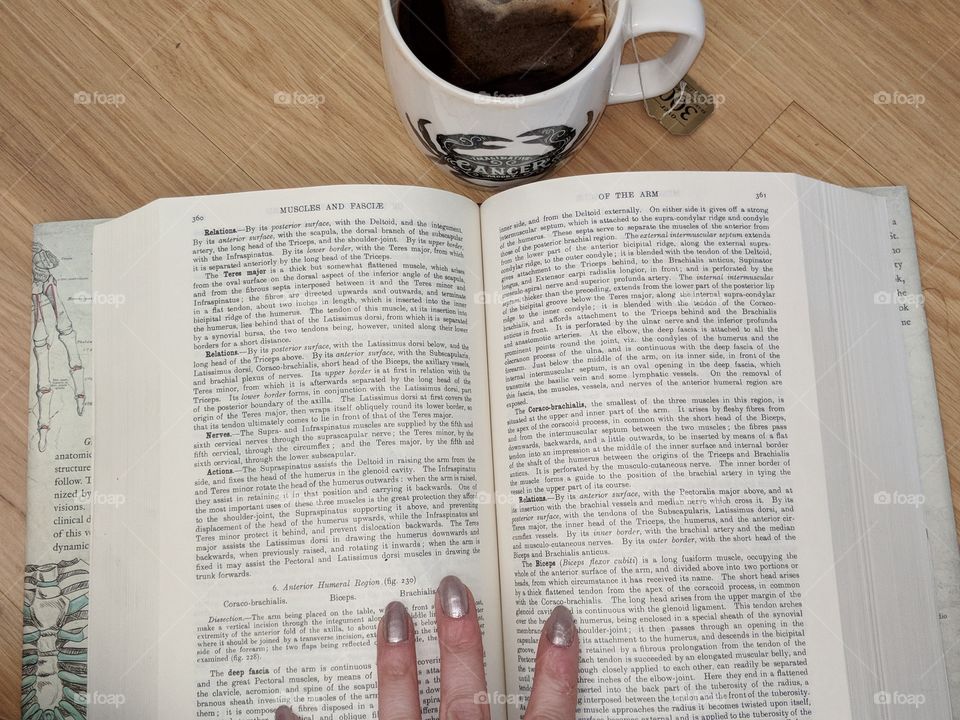 reading with tea
