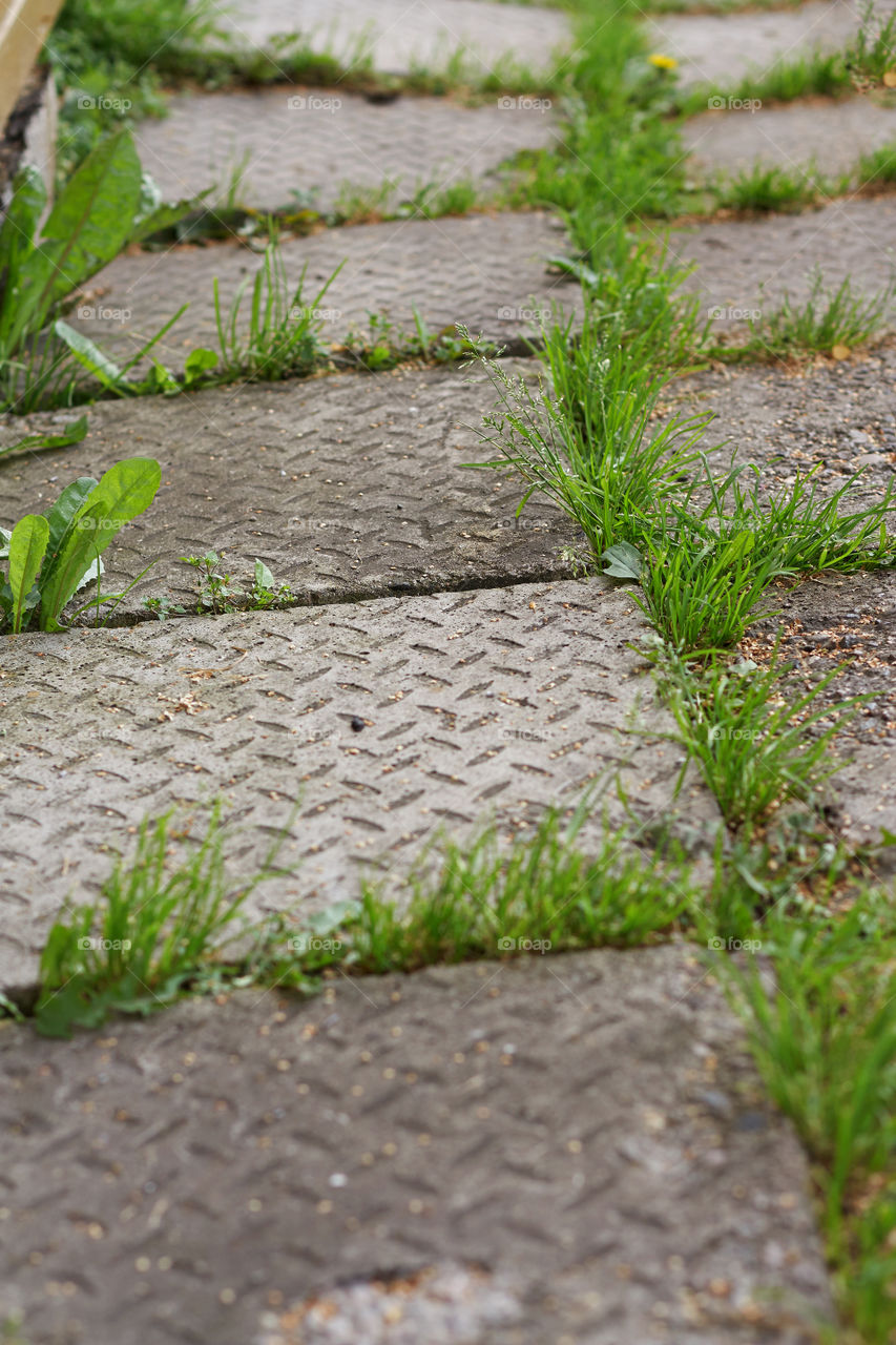 square walkway to the house