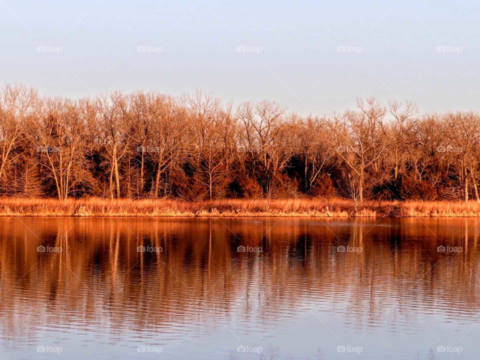 Goregous reflected woods over water. "All Natural, No Filter Needed".