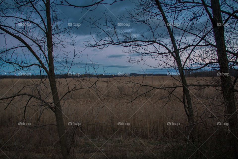 Sunset over the field 