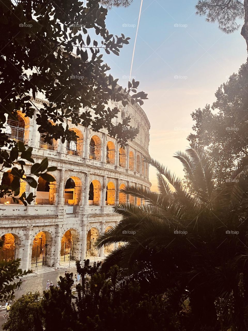 Coliseo entre el verde de la vegetación y el contraste con la luz artificial. Arquitectura histórica Romana.