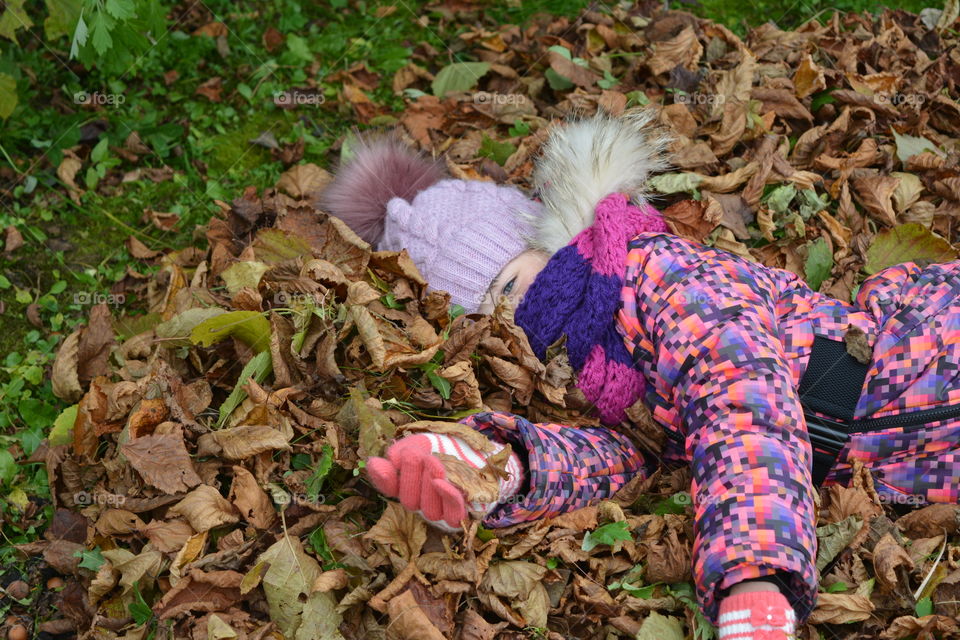 Leaf, Nature, Fall, Flora, Garden