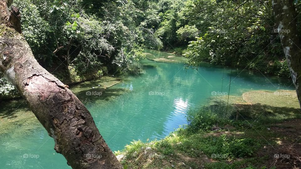Pristine emerald green river in Dominican Republic.