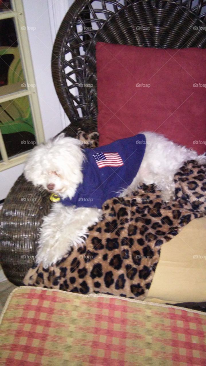 When I am cozy in my sweats I just want to sleep and sleep