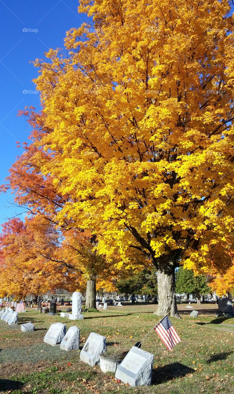 Warm Autumn Colors